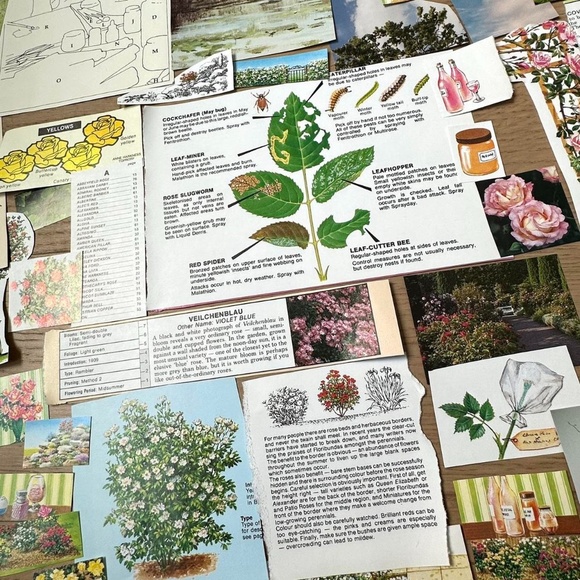 Vintage 50+ pcs Garden Art Themed Ephemera Collage Journal Kit - Picture 1 of 3
